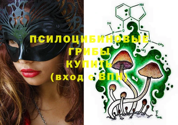 шишки Переславль-Залесский