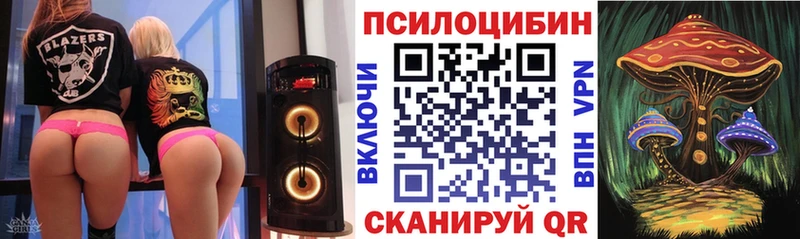 как найти закладки  Горячеводский  Псилоцибиновые грибы мицелий 